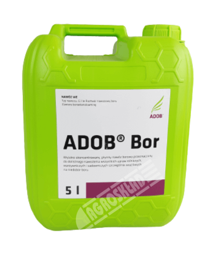 adob_bor