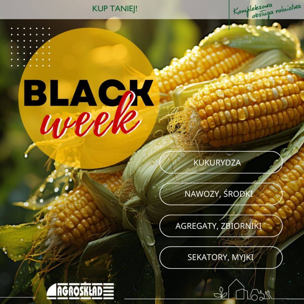 black_week_kukurydza