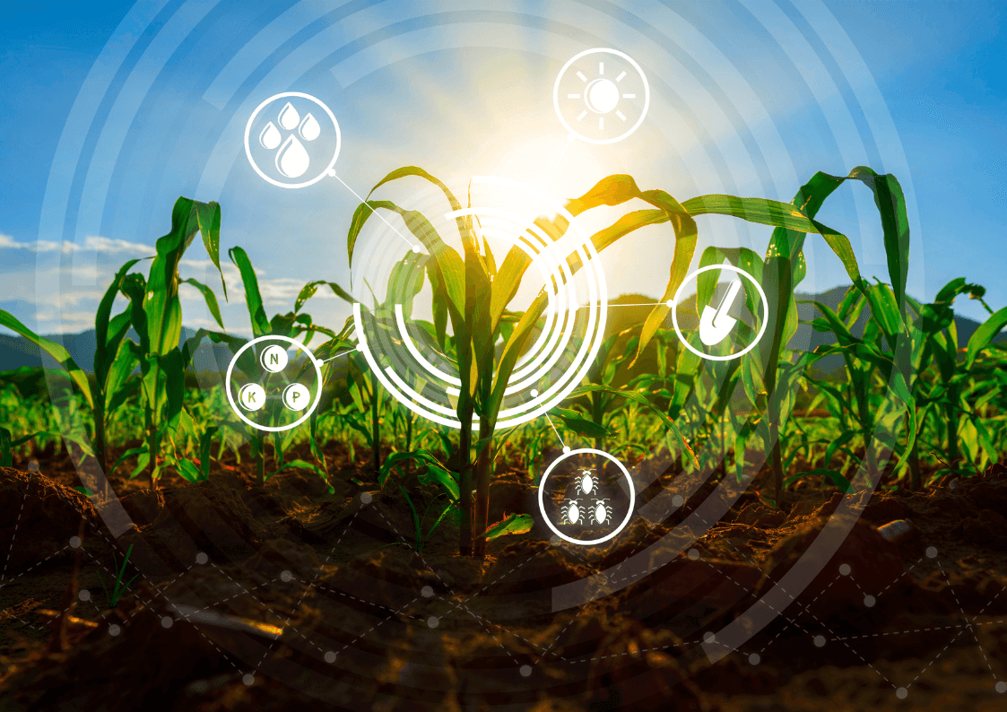 Rolnictwo regeneratywne – przyszłość czy konieczność?