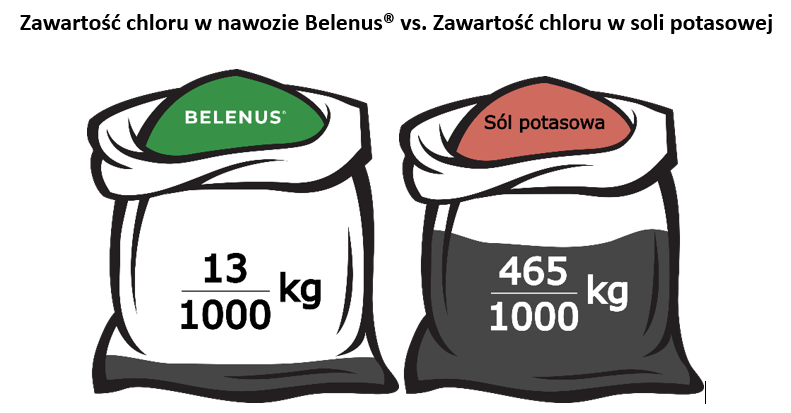 belenus-porownanie