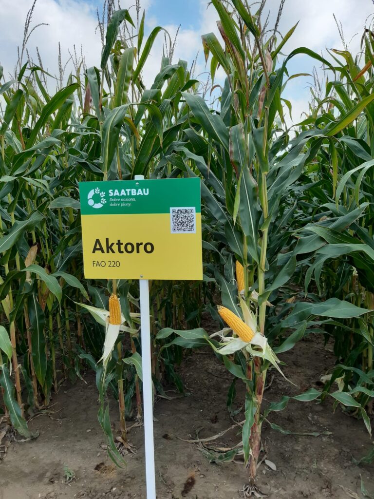aktoro
