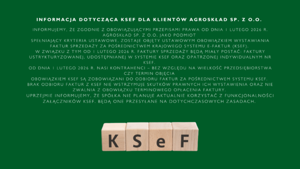 ksef